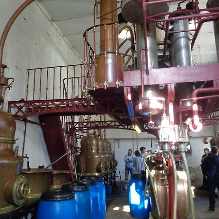 Chambres D'Hotes De L'Ile Du Saule Saumur Kültér fotó