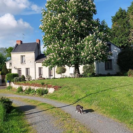 Chambres D'Hotes De L'Ile Du Saule Saumur Kültér fotó