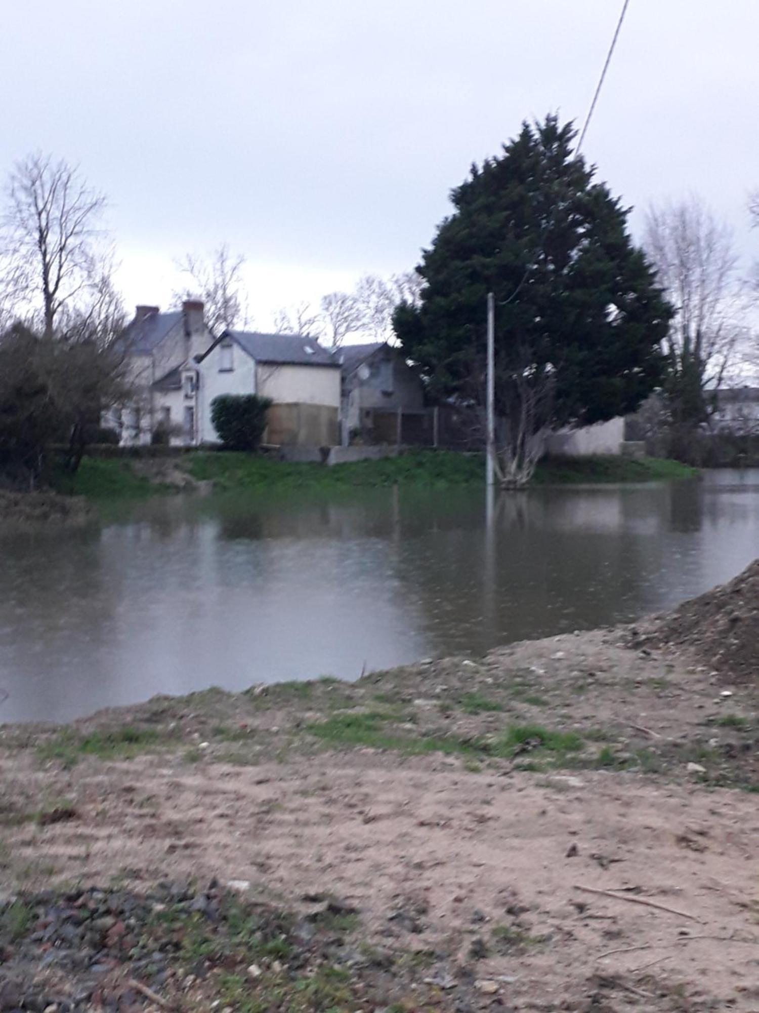 Chambres D'Hotes De L'Ile Du Saule Saumur Kültér fotó