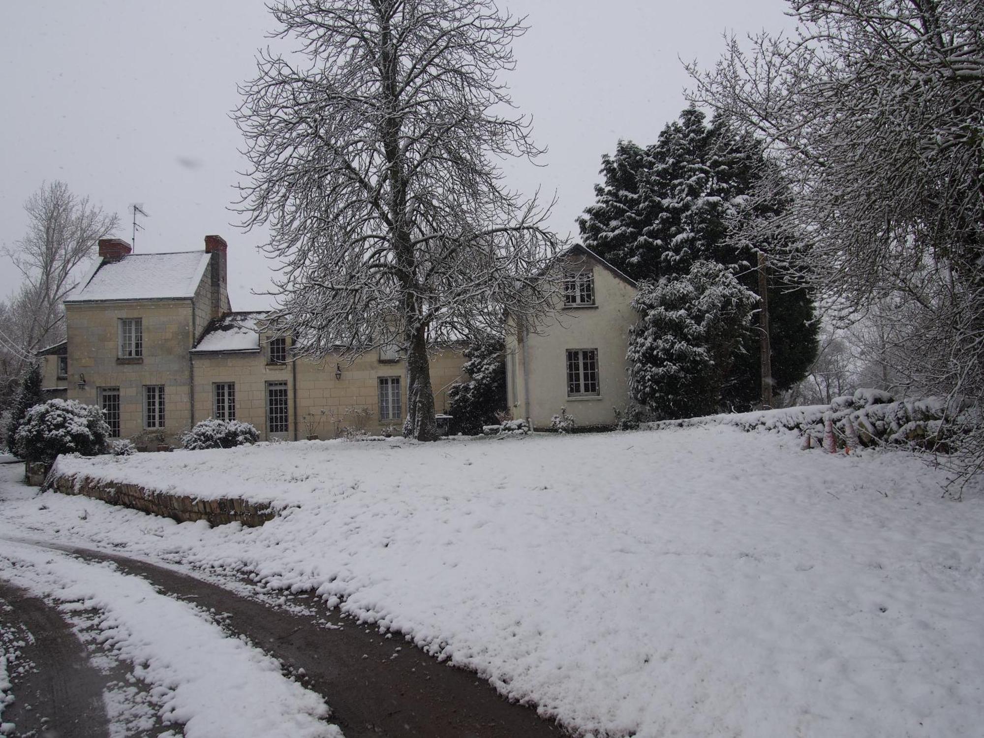Chambres D'Hotes De L'Ile Du Saule Saumur Kültér fotó