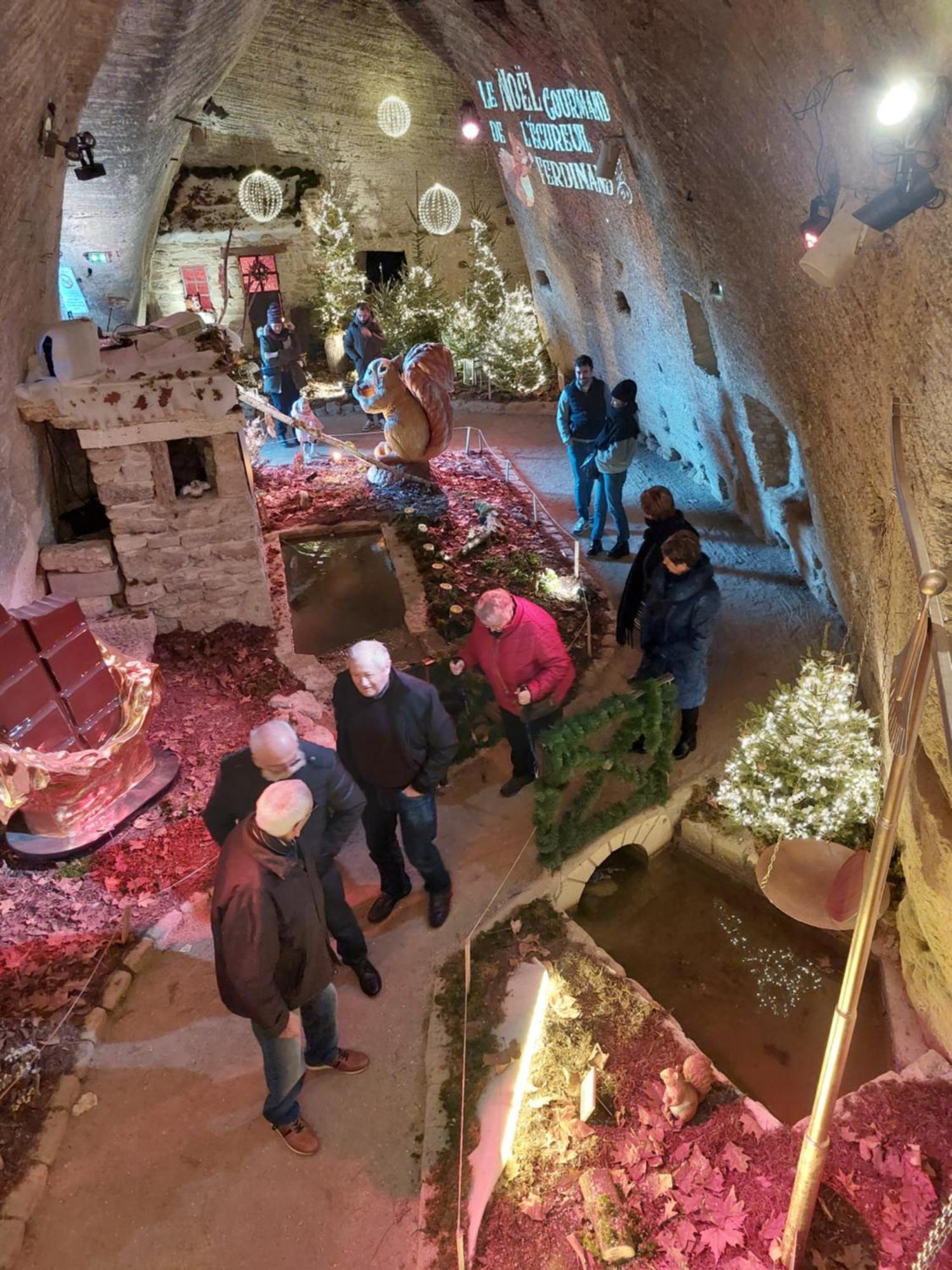 Chambres D'Hotes De L'Ile Du Saule Saumur Kültér fotó